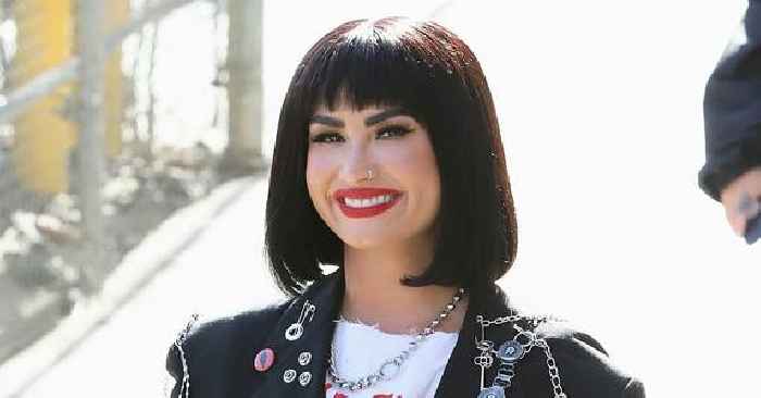 Inside Demi Lovato's 'Happy' & 'Healthy' Romance With New Mystery Man