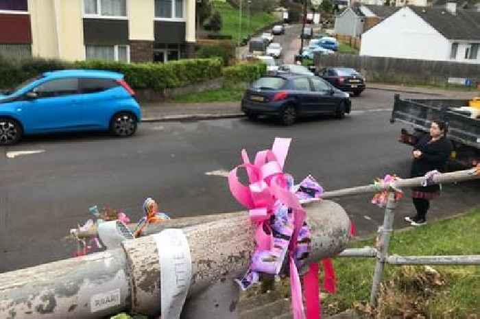 Major change to Torquay road where schoolgirl tragically died