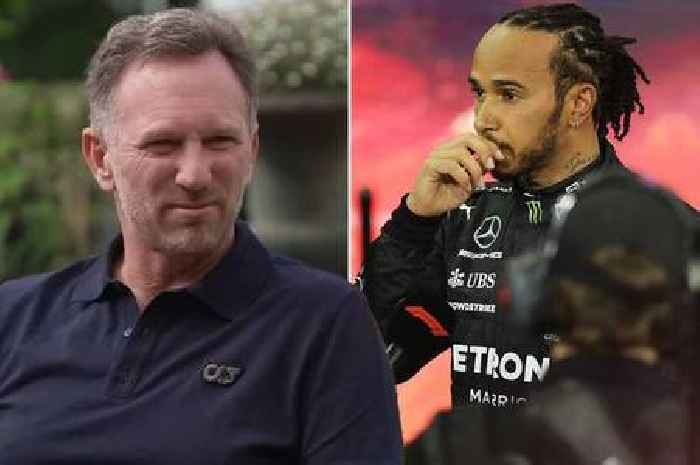 Christian Horner finally expresses sympathy for Lewis Hamilton fans after Abu Dhabi drama