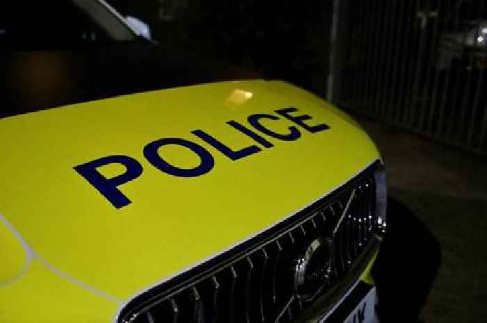 Police appeal after man seen being 'put into boot of car'