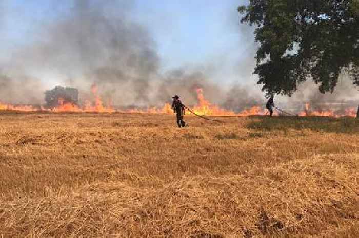Dramatic pictures show full extent of field fire near Taunton that closed A358