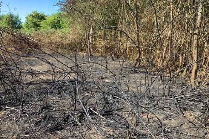 Part of Leicester's Aylestone Meadows burned to a cinder as arsonists are blamed for fire