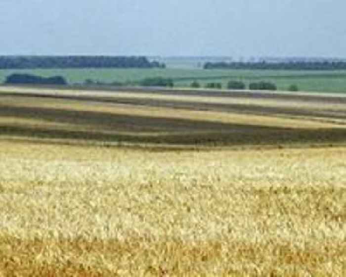 Two more grain shipments leave Ukrain