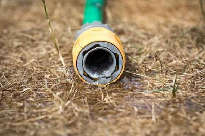 Nine easy hacks to save water this summer as hosepipe ban looms
