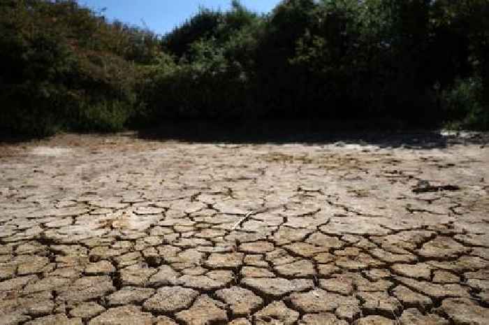East Midlands drought restrictions explained and how long they could last for