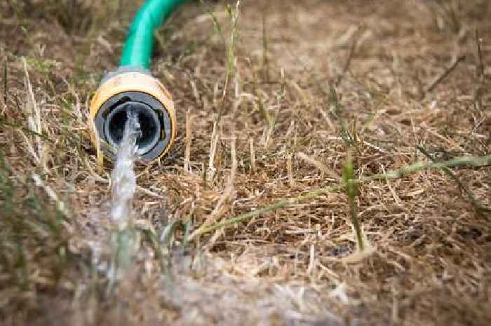 Is there a hosepipe ban in Surrey now that a drought has been declared?