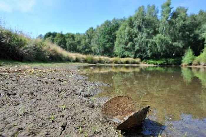 Drought declared in Surrey live updates and reaction as UK experiences driest summer in 50 years