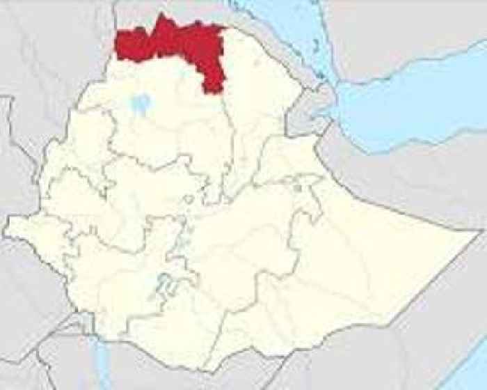 Ethiopia govt in 'direct engagements' with Tigray rebels: AU