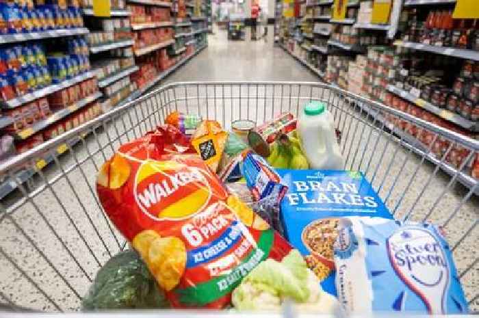 Shoppers face £533 increase on food as grocery bills rise at fastest rate since 2008