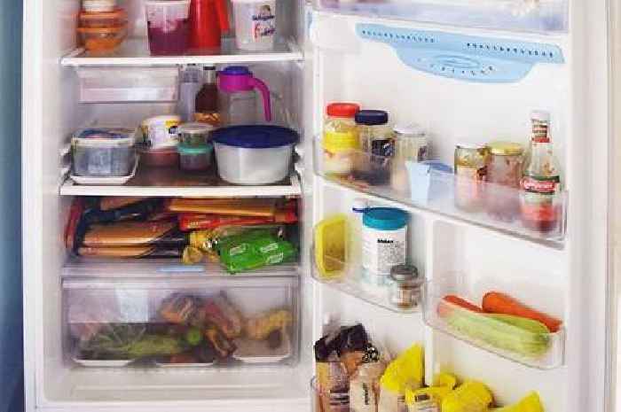 Warning as Brits start turning off fridges to save money in cost of living crisis