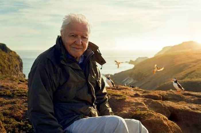 Sir David Attenborough issues BBC TV career announcement as fans left thrilled