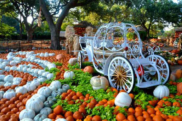 Autumn at the Arboretum: A Fall Fairy Tale, Presented by Reliant, Runs September 17 to October 31