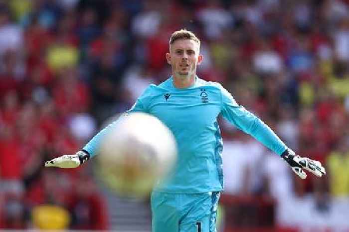 'Crucial' Nottingham Forest transfer claim made as pundit raves about Dean Henderson