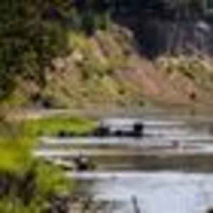 Child dies from suspected brain-eating amoeba infection after swimming in river