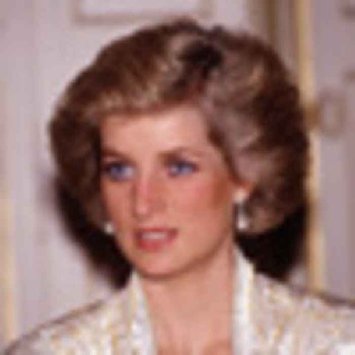 Princess Diana investigator breaks silence on 'emotional' confrontation with Prince William and Harry after her death