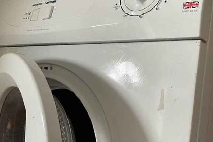 Households to be paid for turning off washing machines and tumble dryers at peak times