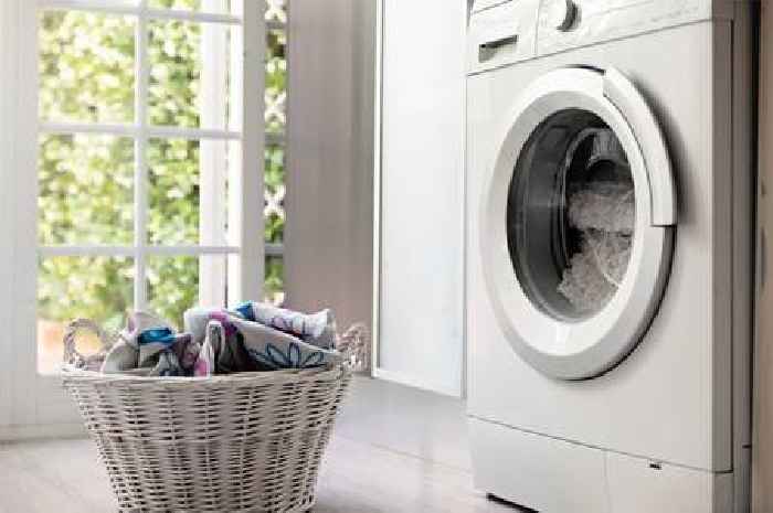 Brits could get paid to turn off washing machines to cut risk of winter blackouts
