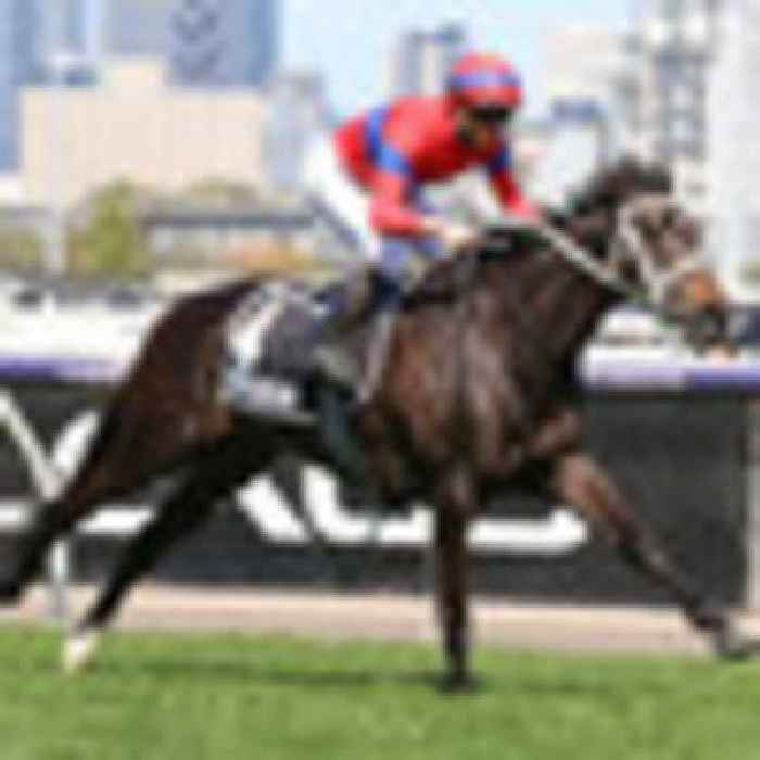 Horse racing: Kiwi star unsuited by slow pace in European debut