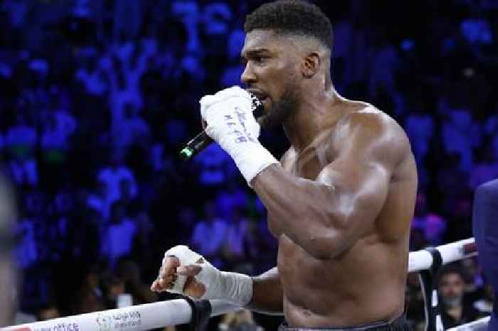 6 options for Anthony Joshua after Oleksandr Usyk defeat - including retiring and Wilder