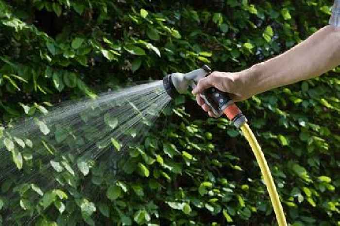 Thames Water hosepipe ban comes into force for North West Kent