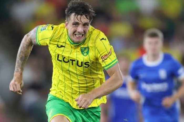 Cardiff City transfer news Live: Updates as Jordan Hugill nets for Norwich City and Cameron Archer latest