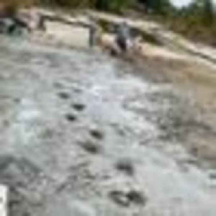 Dinosaur footprints from 113 million years ago revealed by drought