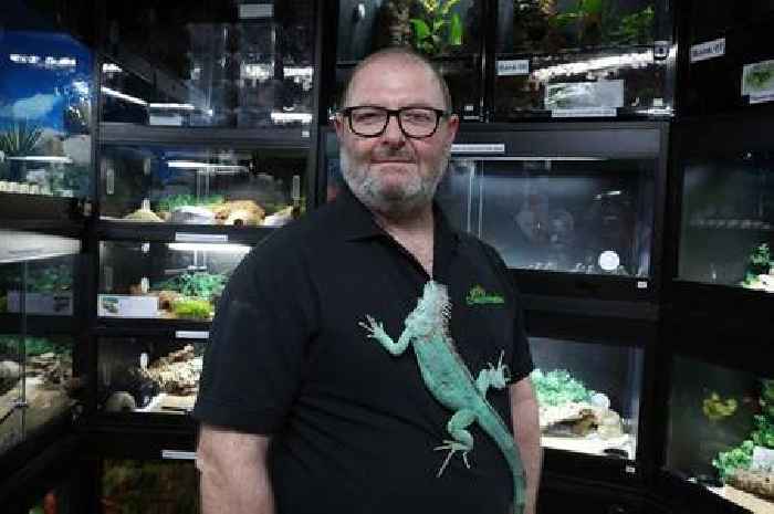 Croydon reptile shop sees energy bills skyrocket by £24k a year as they try desperately to take care of hundreds of animals