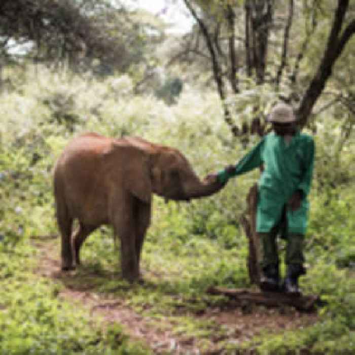 GoMacro® Partnership Benefits Wildlife Conservation for Third Consecutive Year