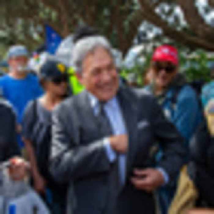 'Unreasonable and irrational': Winston Peters vindicated after apology for Trevor Mallard's trespass notice