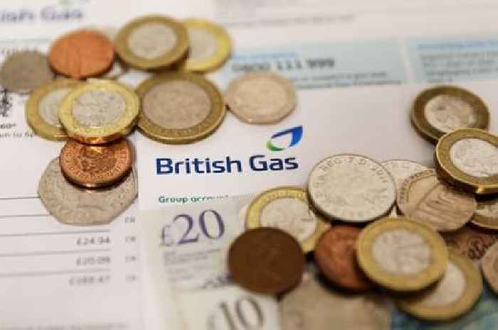 British Gas, Scottish Power, EDF and Octopus Energy help schemes available
