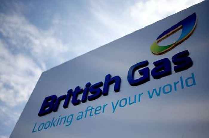 British Gas pledge to donate 10% of profits amid energy price cap rise