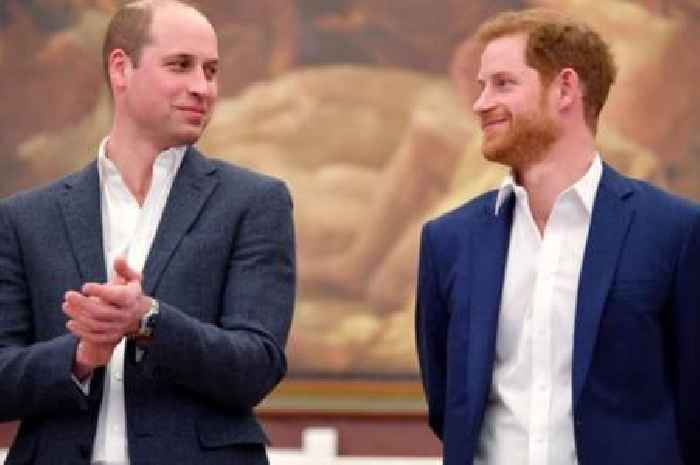 Prince William 'jumped in car to confront Harry' over Meghan bullying claims