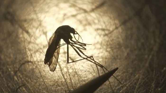 Cases Of West Nile Virus Rising In Some Parts Of The U.S.