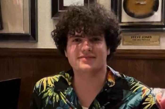 'Broken' family of David Celino, 16, who died at Leeds Festival pay tribute to 'beautiful' teen