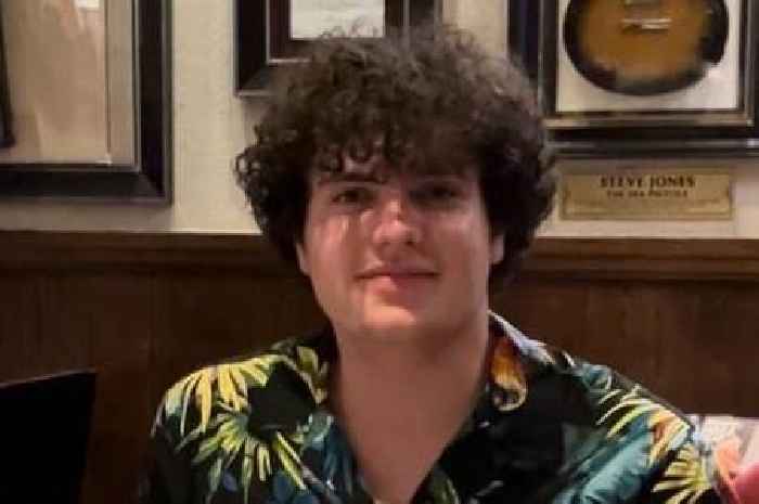 Teenager who died at Leeds Festival named as David Celino as family pays tribute