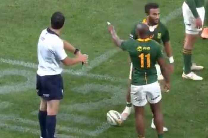 'Oi, shut up!' Makazole Mapimpi puts Nic White in his place and goes viral