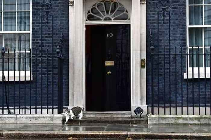 Larry the Cat comes out to check Boris Johnson has really left Number 10