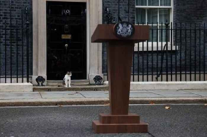 Boris Johnson urges Tories to be more like pets Dilyn and Larry in final PM speech