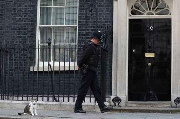 Larry the Cat oversees Boris Johnson's Downing Street departure