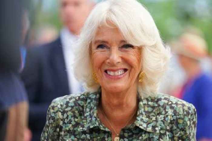 The role of the Queen's Consort, Camilla's new title