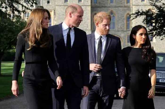 Prince Harry and William 'taking baby steps' to mend their rift after Queen's death