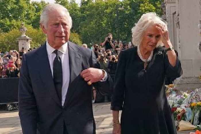 Hertfordshire man praises King Charles III's 'touching' move to greet loyalists outside Buckingham Palace