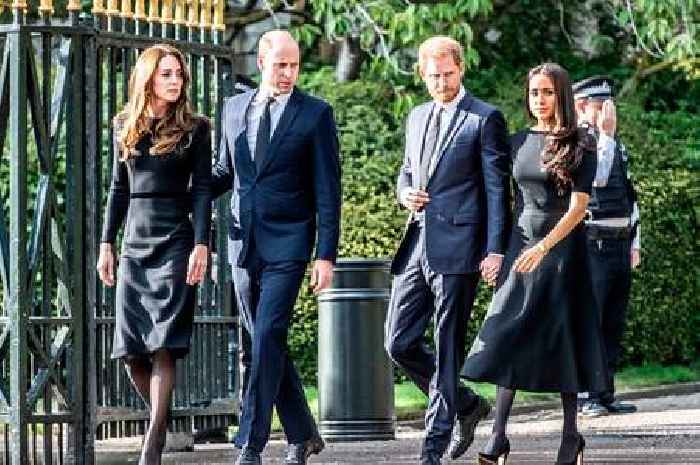 Prince William, Prince Harry, Meghan Markle and Princess of Wales appear publicly together