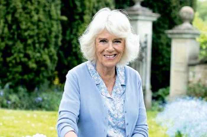 Queen Consort Camilla's rise from exiled outsider to King Charles's darling wife