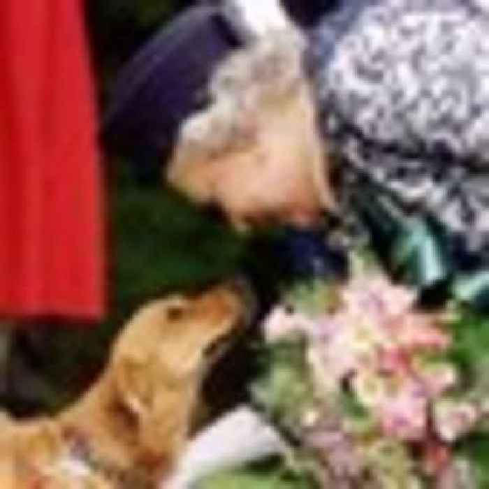 Queen Elizabeth death: Prince Andrew to take care of beloved dogs