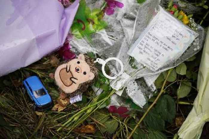 Criminal probe launched into car fire that left two children dead in Ireland