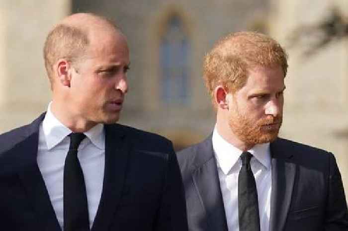 William and Harry will not be part of procession following Queen's coffin on Monday