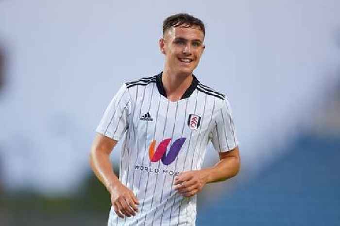 Rob Page names 17-year-old Fulham starlet Luke Harris in Wales squad for Belgium and Poland Nations League matches