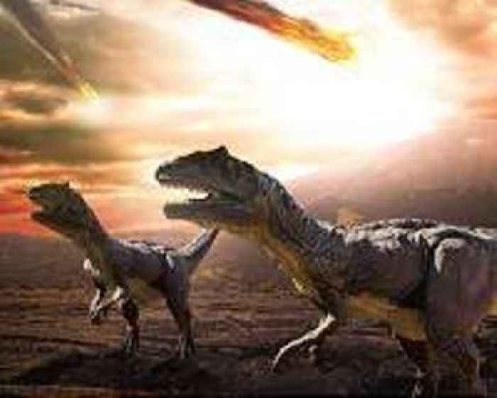 What killed dinosaurs and other life on earth?