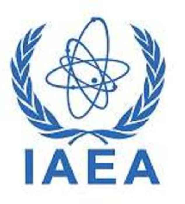 Ukraine, Russia 'interested' in securing nuclear plant: IAEA
